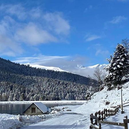 Gite Du Montagnol A Payolle Sainte-Marie-de-Campan Exteriör bild