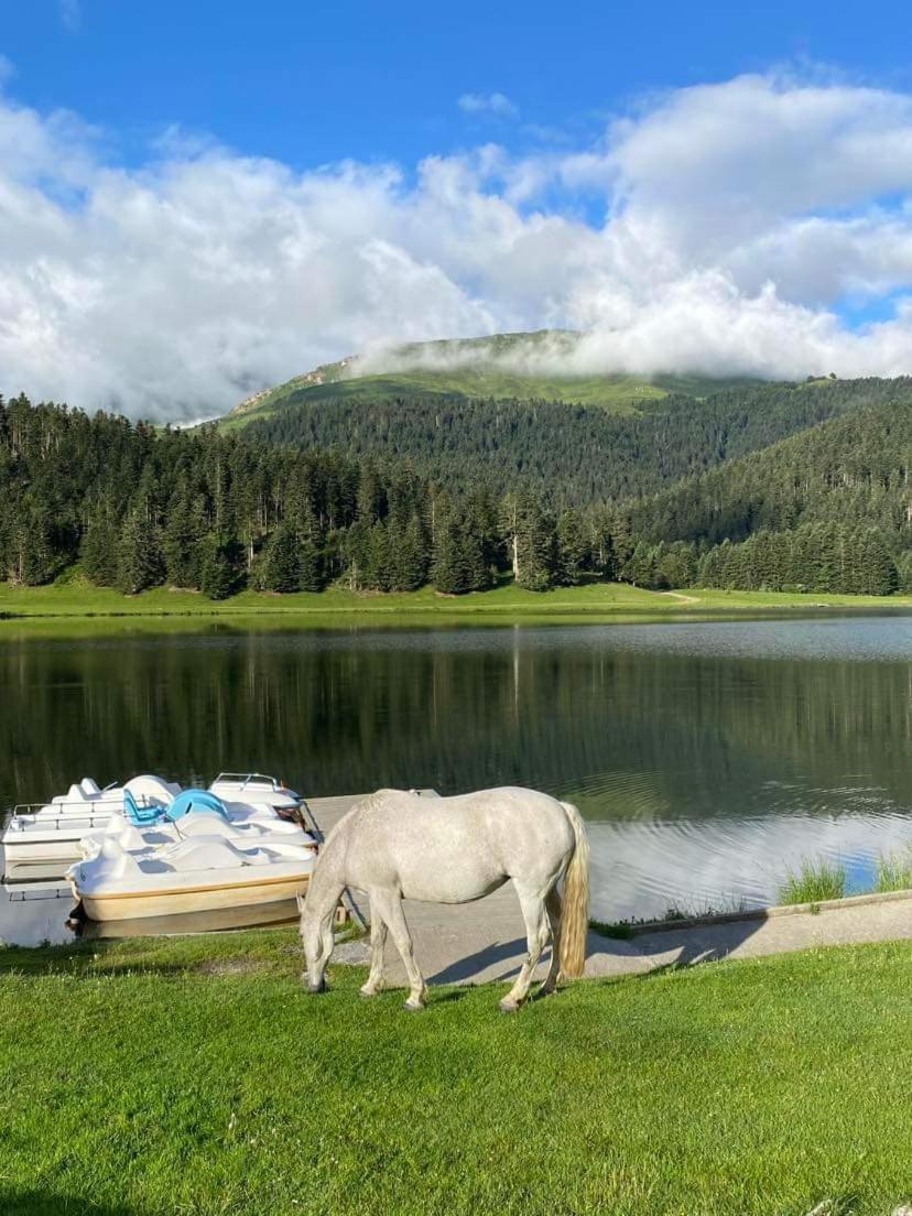Gite Du Montagnol A Payolle Sainte-Marie-de-Campan Exteriör bild