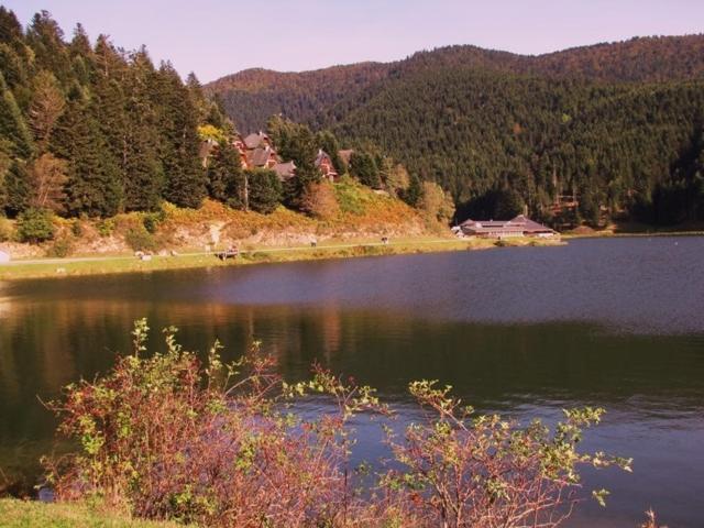 Gite Du Montagnol A Payolle Sainte-Marie-de-Campan Exteriör bild