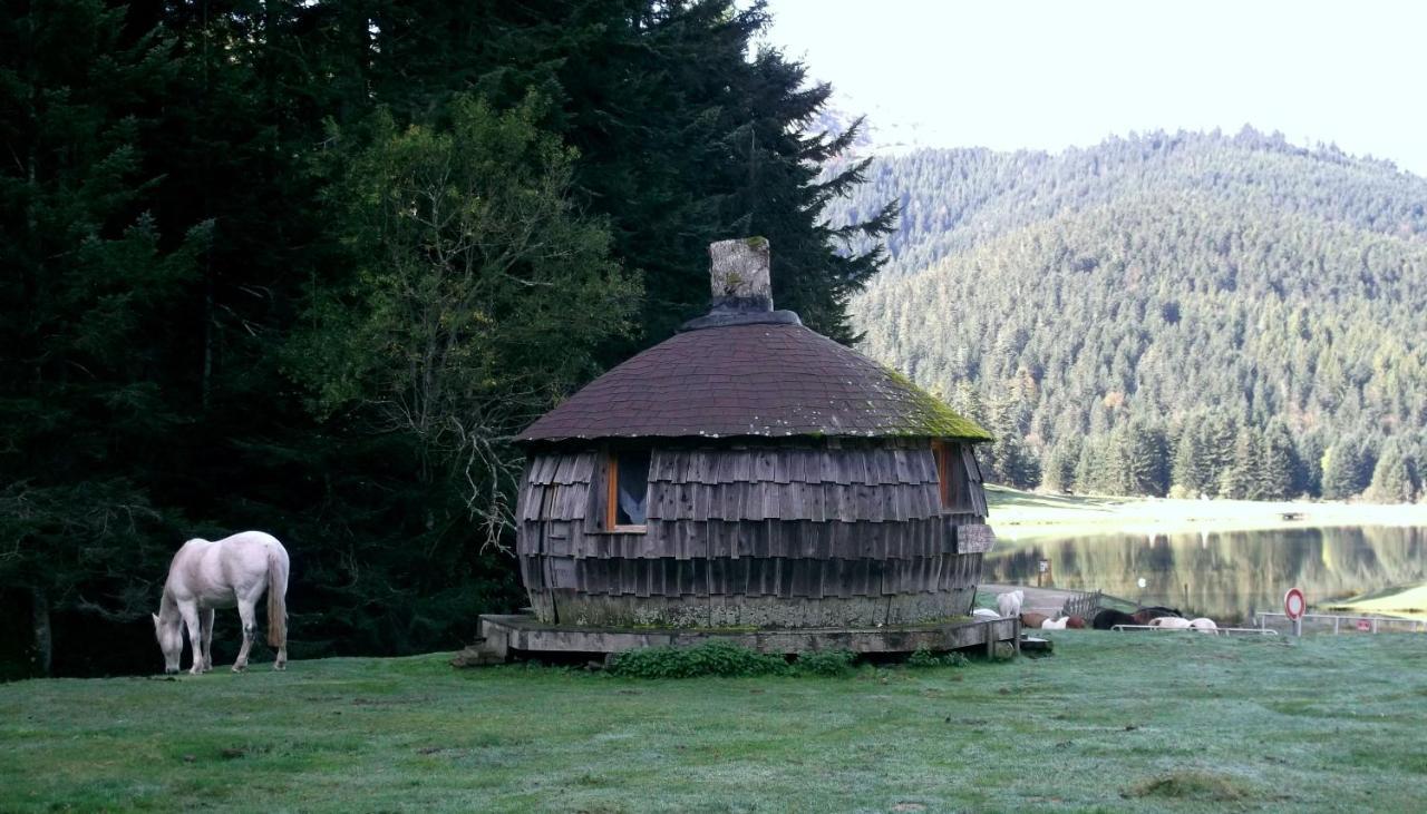 Gite Du Montagnol A Payolle Sainte-Marie-de-Campan Exteriör bild