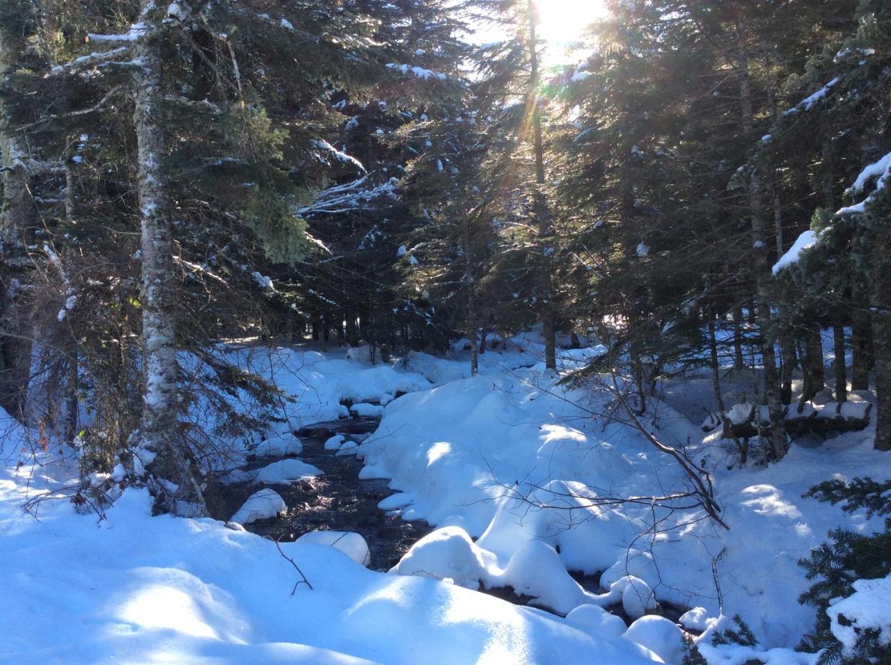 Gite Du Montagnol A Payolle Sainte-Marie-de-Campan Exteriör bild