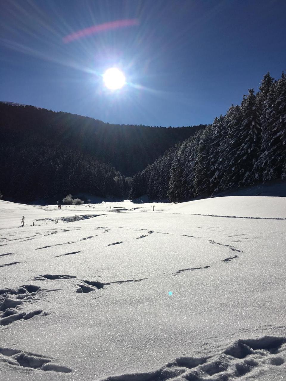 Gite Du Montagnol A Payolle Sainte-Marie-de-Campan Exteriör bild