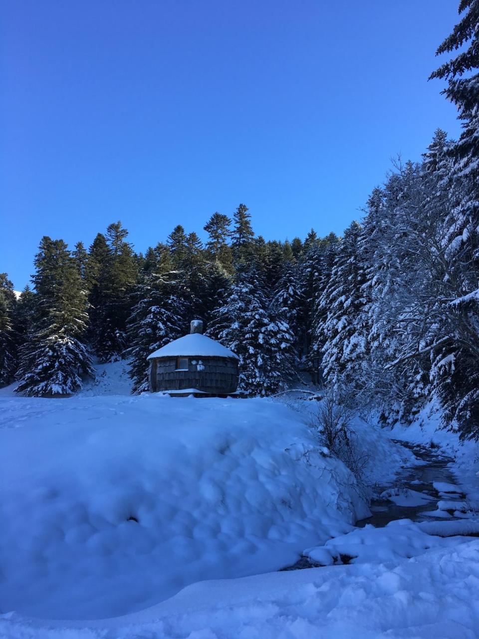 Gite Du Montagnol A Payolle Sainte-Marie-de-Campan Exteriör bild