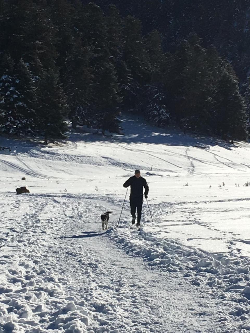 Gite Du Montagnol A Payolle Sainte-Marie-de-Campan Exteriör bild